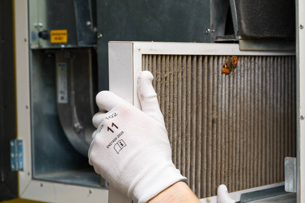 Best Air Filter Replacement Services in Lockport Heights, LA